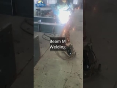 Sri Lanka Çelik Atölyesi ve vinç projesi