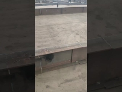 Sri Lanka atölyesi projesinin ön montajı